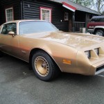 Pontiac Firebird Esprit 1982 mod.