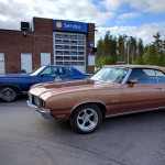 01 (29)