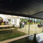 midtsommertreff 2016 (18)